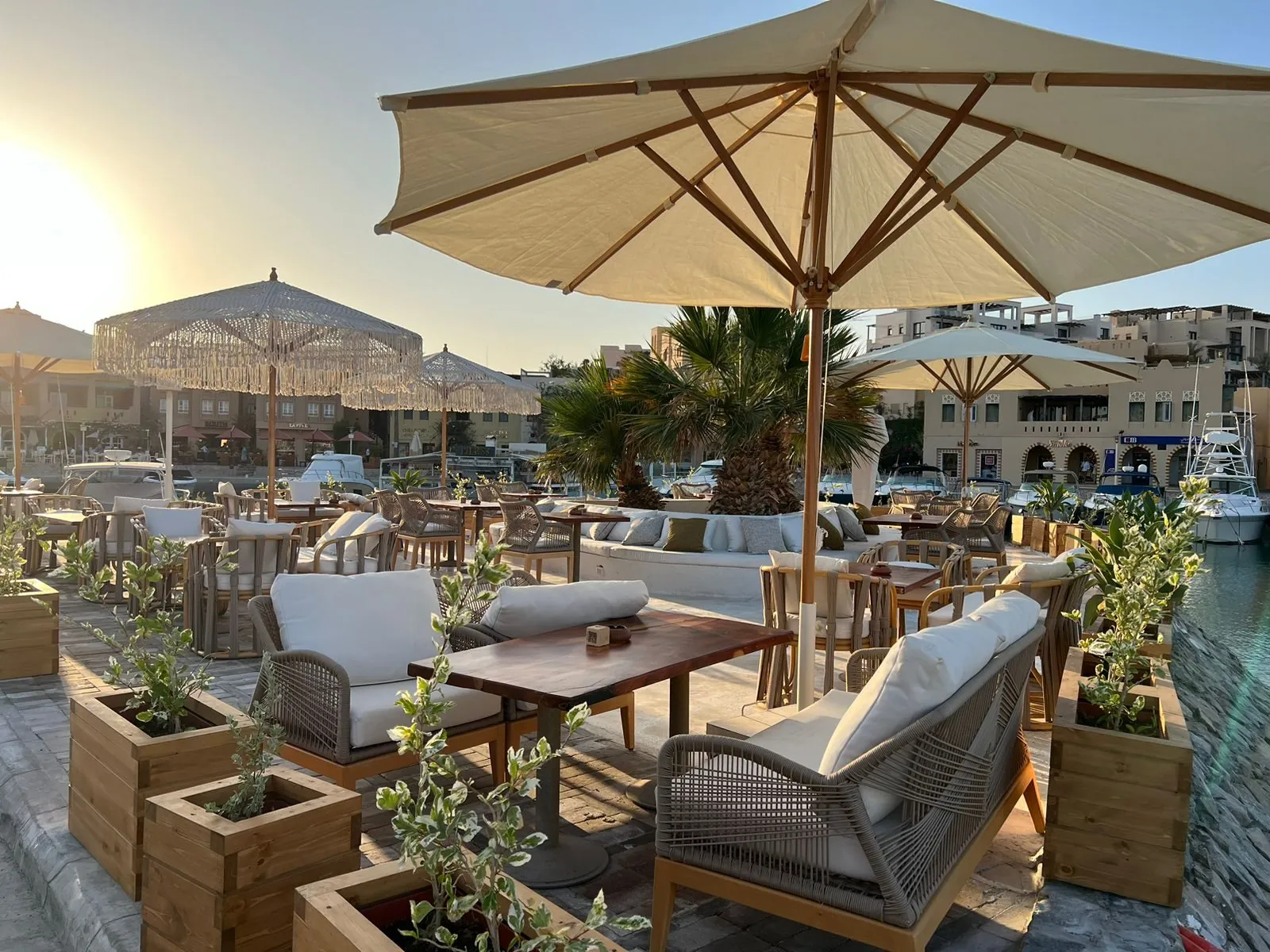 Sahara project